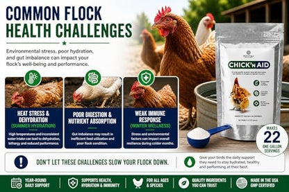 Pivotal Feeds Chick’n Aid Poultry Supplement 8 oz (Pack of 2) – Electrolytes, Probiotics & Vitamins for Chickens, Ducks & Turkeys | Supports Hydration, Gut Health & Immune Function | Made in USA