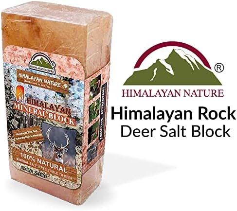 Licking Salt for Deer Block - Animal Licking Mineral Salt Block, Natural Feed Salt Rock for Horse, Deer & Animal, 10 Pound, 2 Counts