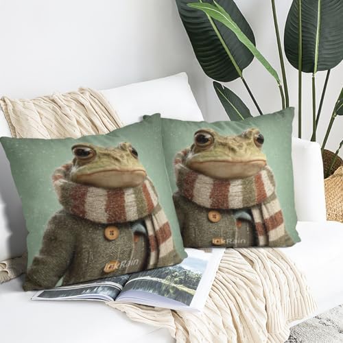 InkRain Winter Animal Cute Frog Pillow Cover 26x26 Inch Set of 2 Home Decor Decorative Cotton Linen Illustration Pillowcases for Living Room House Sofa