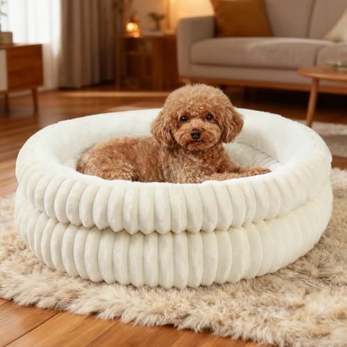 Washable Round Donut Dog Bed,Cat Beds for Indoor Cats(White, M)