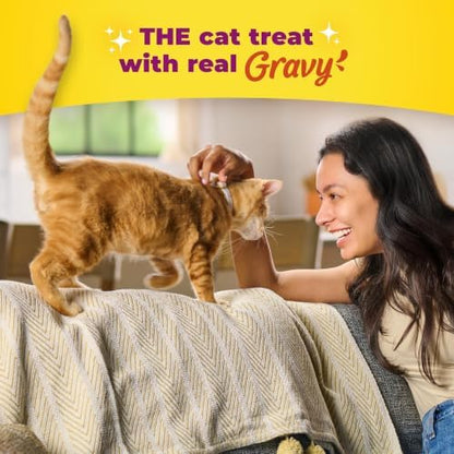 Meow Mix Gravy Bursts Chicken Flavored Cat Treats, 2.7 Oz. Bags (Pack of 5)