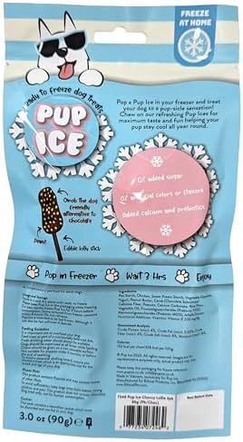 SPOT Pup Ice Dog Treats – Freeze-at-Home Edible Chews for Medium Breed Dogs & Puppies, Safe Peanut & Carob Flavor (No Chocolate), 2ct Rocket Lollies with Real Chicken