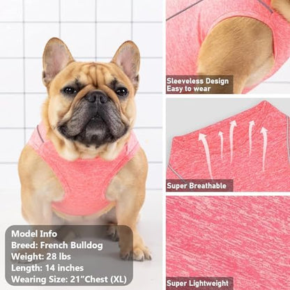 KYEESE Reflective Dog Shirt, Lightweight Sun Protection Dog T Shirts for Small Dogs, Breathable Sleeveless Puppy Tank Top Summer Dogs Clothes for Night Walking Outdoor, Coral Red, S