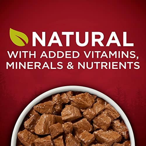 Purina ONE True Instinct High Protein Wet Dog Food, (12) 13 oz Cans