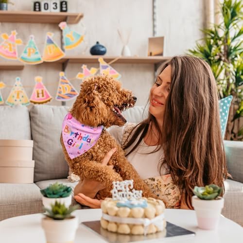 Dog Birthday Bandana Set, Dog Birthday Party Supplies