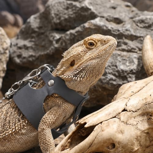 3 Pack Bearded Dragon Leash and Harness Set