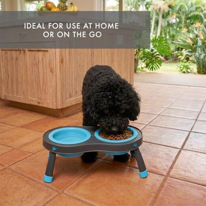 Dexas Pets Elevated Double Pet Feeder, Small, 1 Cup Capacity Bowls, Blue, Raised Pet Food and Water Bowls
