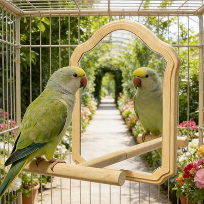 Bird Mirror with Wooden Perch for Parakeet, 21cm Bird Toy for Cage