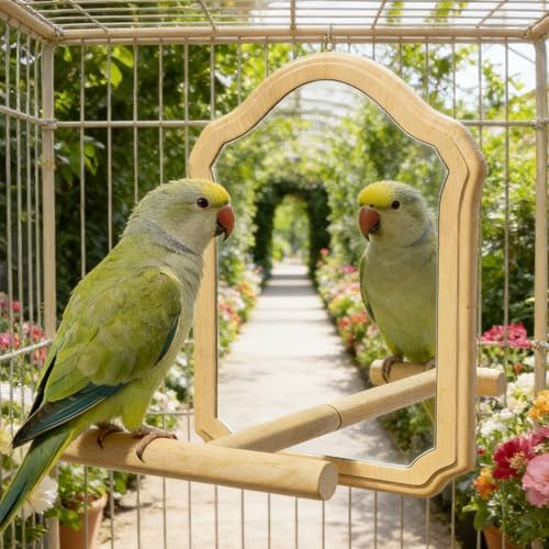 Bird Mirror with Wooden Perch for Parakeet, 21cm Bird Toy for Cage