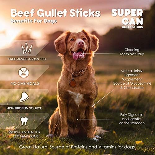 SUPERCAN BULLYSTICKS 6" Braided (10pc) Beef Bully Sticks for Small Medium Large Dogs - 100% Natural Dog Chews - Long Lasting Treats for Aggressive Chewers - Healthy Teeth - Free Range