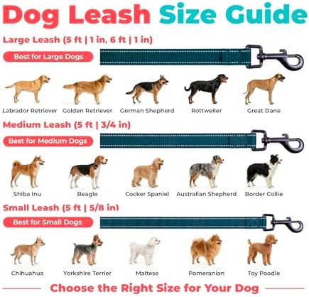 Best Pet Supplies Voyager Nylon Dog Leash - Blue, Large