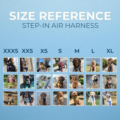 Best Pet Supplies Voyager Step-in Air All Weather Mesh Harness and Reflective Dog 5ft Leash Combo with Neoprene Handle, for Small, Medium and Large Breed Puppies - Blue, X-Lrage
