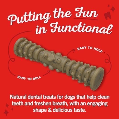 Stella & Chewy's Dental Delights with Freeze-Dried Chicken - Medium Dental Treats for Dogs, 23.2 Ounce Bag