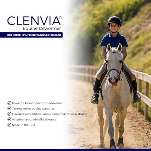 Horse Paste 10% – 25g Syringes – Oral Deworming Paste for Horses of All Ages – Easy-to-Administer Equine Care (Pack of 2)