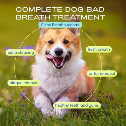 Native Pet Clean Breath Dog Dental Care - Teeth Cleaning for Fresh Breath, Clean Teeth & Healthy Gums - Tartar and Plaque Remover - Dog Breath Freshener - 60 Scoops