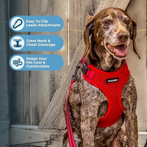 Voyager Step-in Lock Dog Harness - Red, Medium