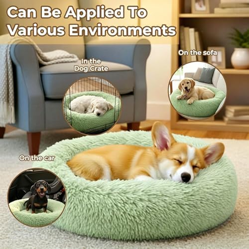 Calming Donut Dog and Cat Bed for Indoor Cats, Anti-Anxiety Round Fluffy Soft Washable Small Pet Bed for Puppy and Kitten, Warming Comfortable Luxury Anti-Slip Waterproof Mute Base 20in Green