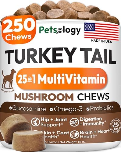 Turkey Tail Mushroom for Dogs - 250 Chews - Lion's Mane, Shiitake & Reishi
