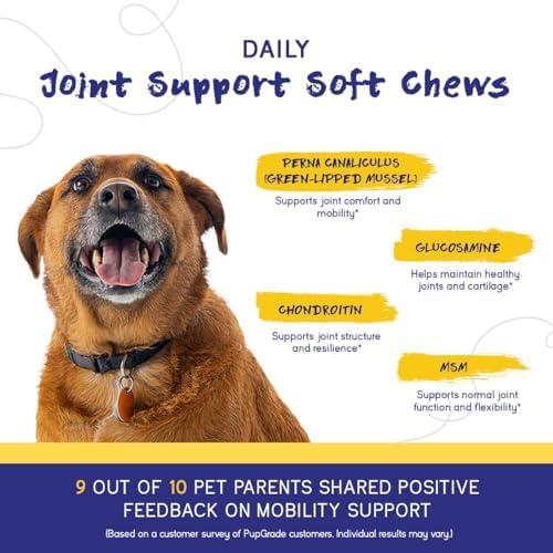 PupGrade Joint Support for Dogs, Beef Flavor - 60 Soft Chews