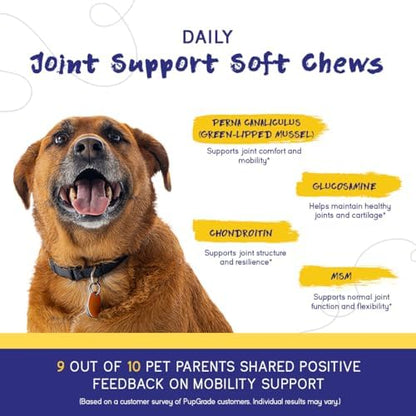 PupGrade Joint Support for Dogs, Beef Flavor - 60 Soft Chews