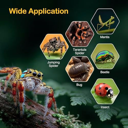 Jumping Spider Enclosure Starter Kit,Escape Proof Ocean Terrarium