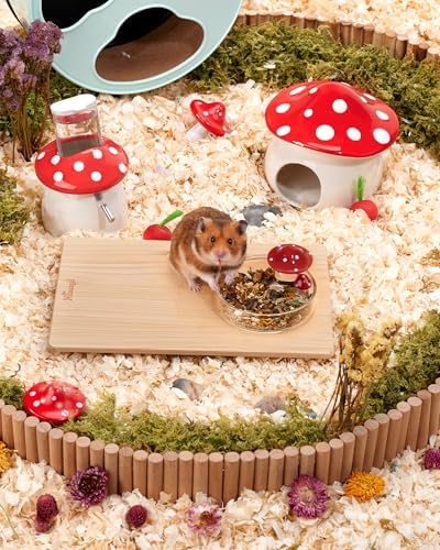 Niteangel Hamster Feeding & Food Bowls: Mushroom Glass & Chew-Resistant