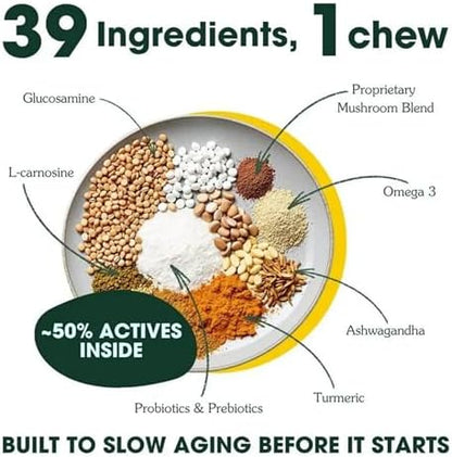 Arterra Longevity Multivitamin for Small Dogs - Vet-Formulated Mini Chews