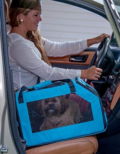 Pet Gear Carrier and Car Seat, Arctic Blue