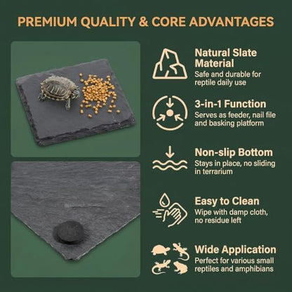 3.9 Inch Square Reptile Basking Platform Slate, Rock Feeding Slate Tile Habitat for Reptiles, Bearded Dragon Basking Resting Platform for Tortoise Lizard Gecko