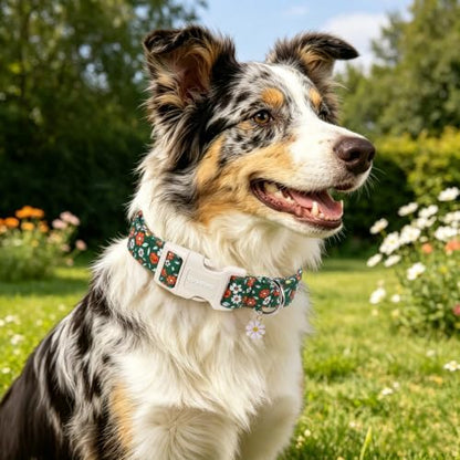 DOGWONG Fall Floral Dog Collar, Green Pumpkin Flower Pretty Cute Girl Dog Collar,Girl Female Dogs Collars for Small Medium Dogs, Neck 11-16 inches