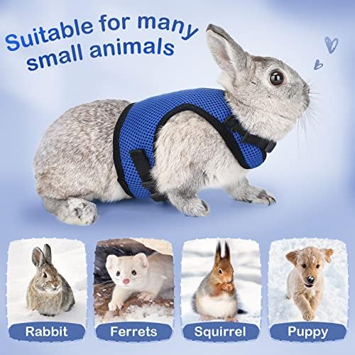 PETTOM Bunny Rabbit Harness with Stretchy Leash Cute Adjustable Buckle Breathable Mesh Vest for Kitten Small Pets Walking (Blue,XL)