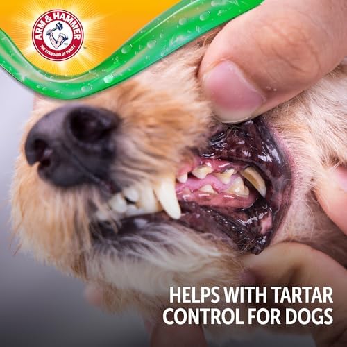 Arm & Hammer Complete Care Dental Gel Toothbrush Kit, Chicken, 3-Piece