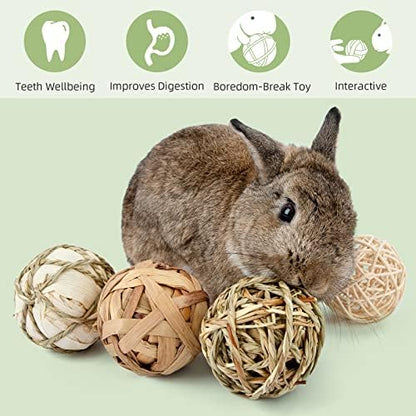 andwe Small Animals Play Activity Balls Rolling Chew Toys(Pack of 6)