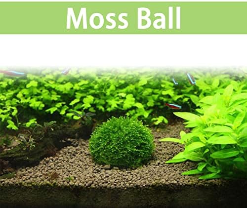 2pcs Plastic Aquarium Shrimp Fish Tank Media Moss Ball Holder Fish Tank Accessories Home Decoration 5x3cm, Transparent