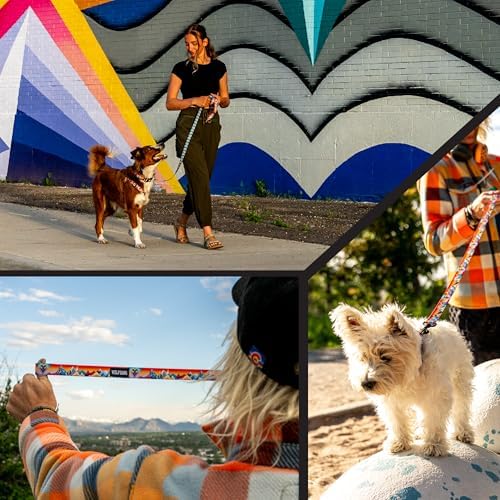 Wolfgang 5/8 Inch Venture Dog Leash Mountainvibes Print Small