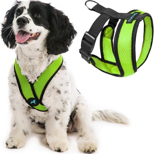 Gooby Comfort X Head-in Dog Harness, Choke-Free, Green, Small