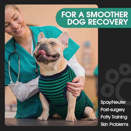 FUAMEY Dog Surgery Recovery Suit, Surgical Suit for Dogs Onesie for Surgery