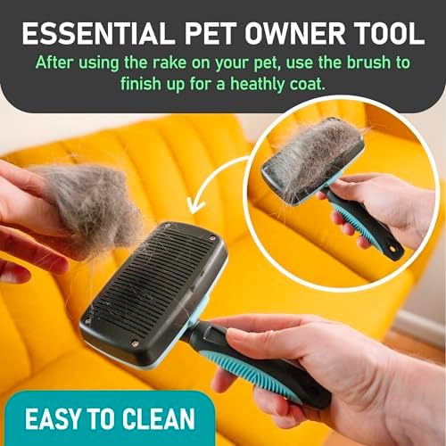 Maxpower Planet Dog Rake and Brush Set for Shedding, Undercoat & Mats