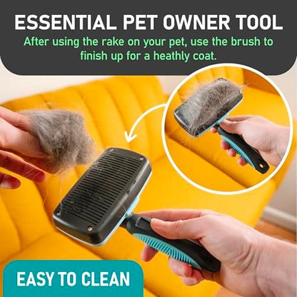 Maxpower Planet Dog Rake and Brush Set for Shedding, Undercoat & Mats