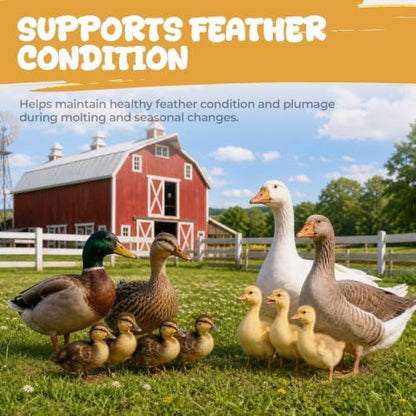 Brewer’s Yeast Nutrition for Ducks & Chickens, Niacin Supplement for Growth