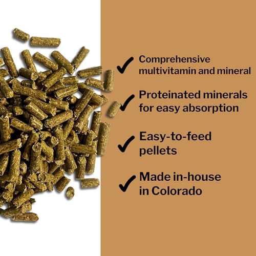 Formula 707 Daily Essentials Ration Balancer Supplement for Horses, 6 lb Bag – 48 Servings – Concentrated Complete Vitamin & Mineral Pellet