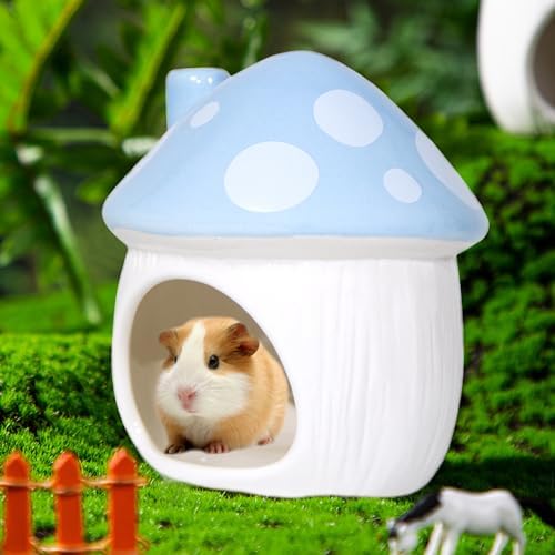 Ceramic Hide Hamster Hideout Small Pets Habitat House Accessories (Blue)