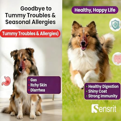 Probiotics for Dogs - 800M CFU Dog Probiotic Chews with Digestive Enzymes & Pumpkin | Seasonal Allergy, Itchy Skin & Immune Support for All Breeds - 90 Soft Chews, Chicken Flavor
