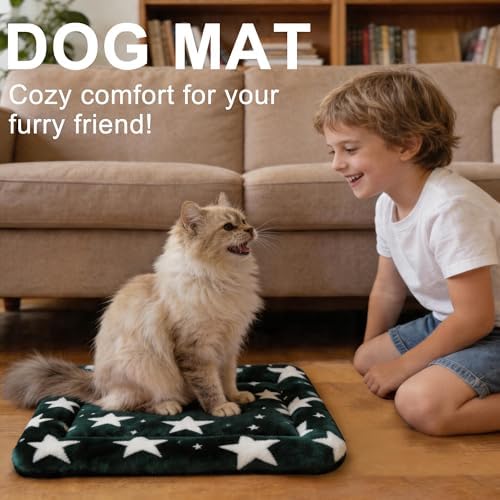 Dog Bed Mat – Soft & Comfortable Dog Kennel Pad for Crate – Durable Crate Bed & Mat for Dogs & Cats – Ideal for Crate, Kennel, and Home Use (Big&Little Stars Green, XS(18"*14"*1.5"))