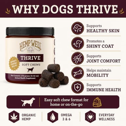 Hemp Well Thrive Chews for Dogs, Organic Hemp, Everyday Omegas, Skin Coat Support
