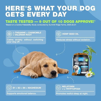 Hemp Calming Chews for Dogs Anxiety Relief & Calming Treats with Melatonin