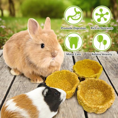 6 Pack Rabbit Chew Toys for Teeth Natural Guinea Pig Toys
