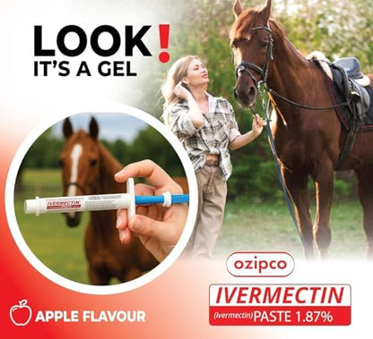 Ivermectin Horse Paste 1.87% | Apple Flavor – 6.08g Syringe for Equine Use Only Up to 1250 LB (2-Pack)