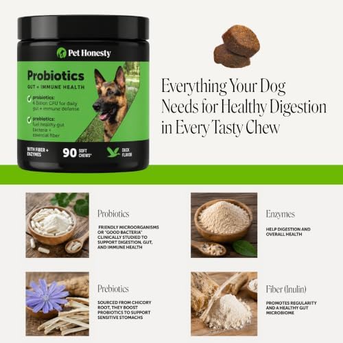 Pet Honesty Dog Probiotics Chews for Gut & Digestive Health, 90ct, Duck