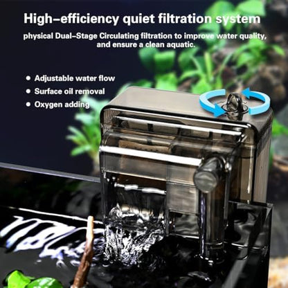 2.8 Gallon Glass Fish Tank,Small Fish Tank with Light and Filter